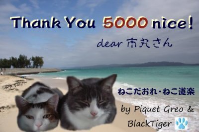 5000nice-1.jpg