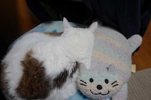 DSC04485.JPG