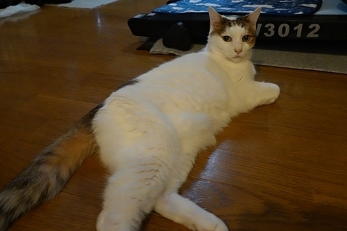 DSC04573.JPG