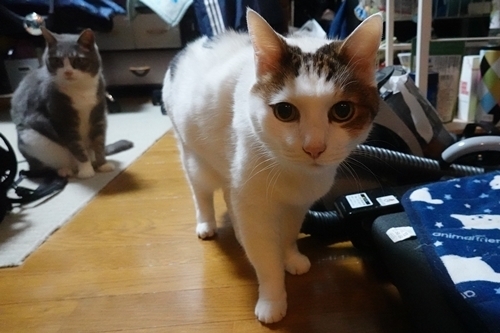 DSC04624.JPG