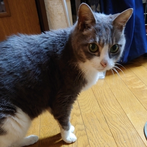 DSC_2177.JPG